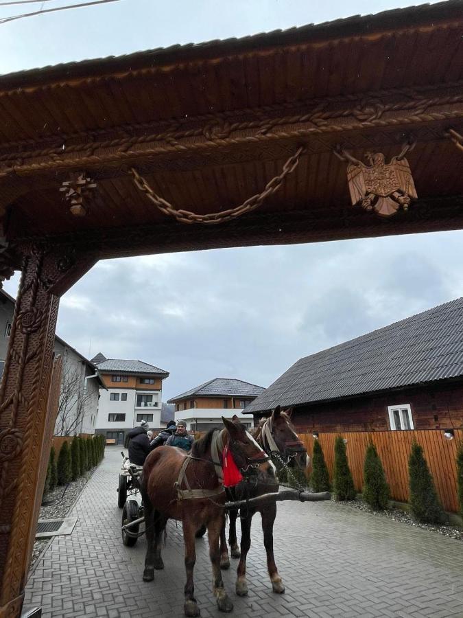Pensiunea Maramures Guesthouse Viseu de Jos Exterior foto